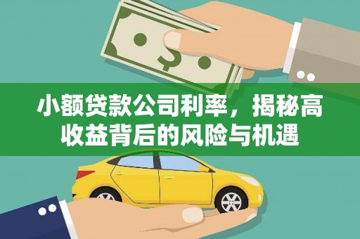 青白江小额贷款公司利率，揭秘高收益背后的风险与机遇