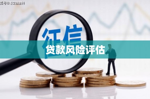 青白江贷款风险评估