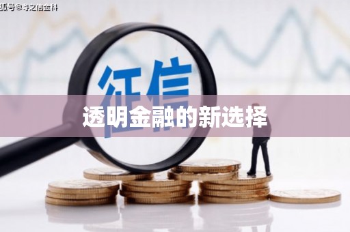青白江透明金融的新选择