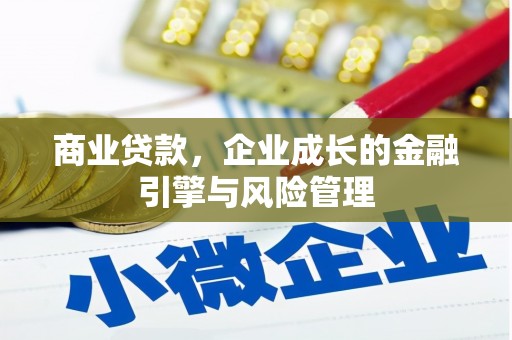 青白江商业贷款，企业成长的金融引擎与风险管理