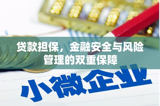青白江贷款担保，金融安全与风险管理的双重保障