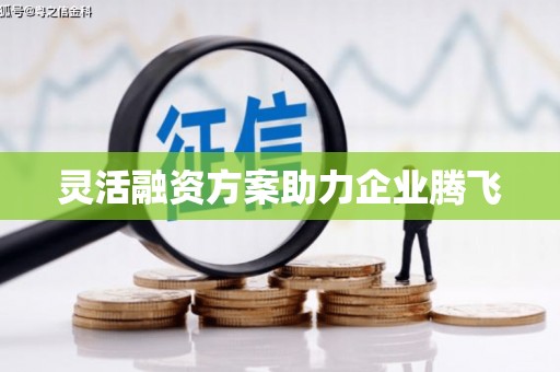 青白江灵活融资方案助力企业腾飞