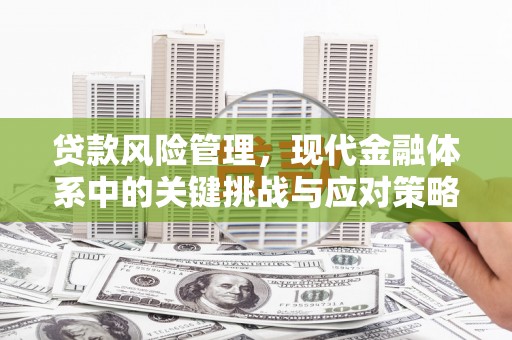 青白江贷款风险管理，现代金融体系中的关键挑战与应对策略