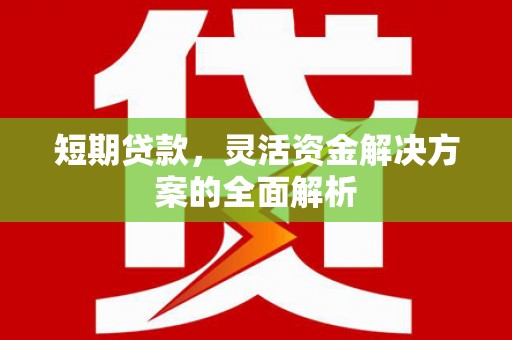 青白江短期贷款，灵活资金解决方案的全面解析
