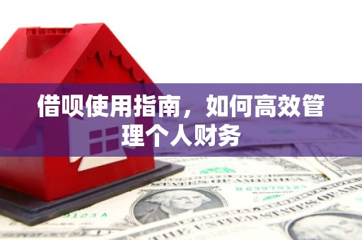 青白江借呗使用指南，如何高效管理个人财务
