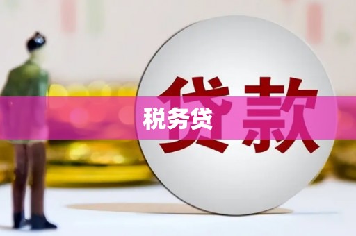 青白江税务贷