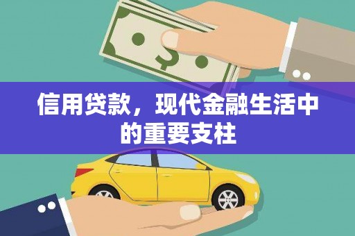 青白江信用贷款，现代金融生活中的重要支柱