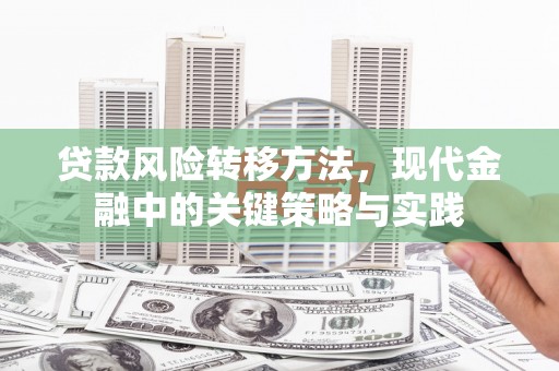 青白江贷款风险转移方法，现代金融中的关键策略与实践