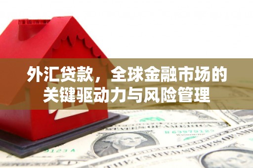 青白江外汇贷款，全球金融市场的关键驱动力与风险管理
