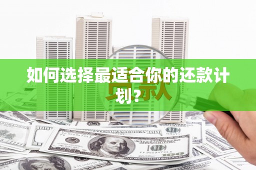 青白江如何选择最适合你的还款计划？