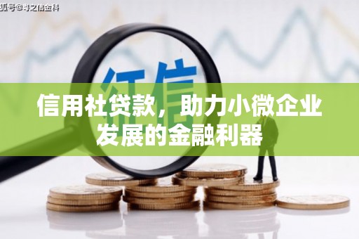 青白江信用社贷款，助力小微企业发展的金融利器