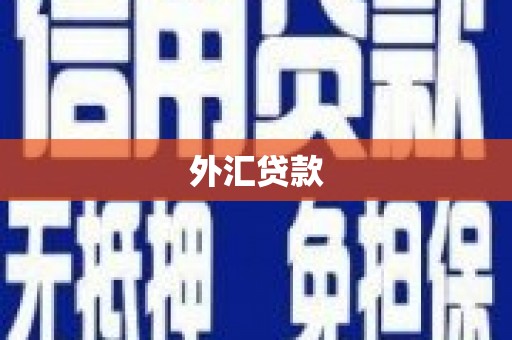 青白江外汇贷款