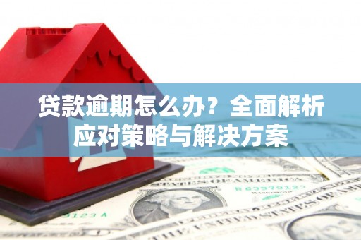 青白江贷款逾期怎么办？全面解析应对策略与解决方案