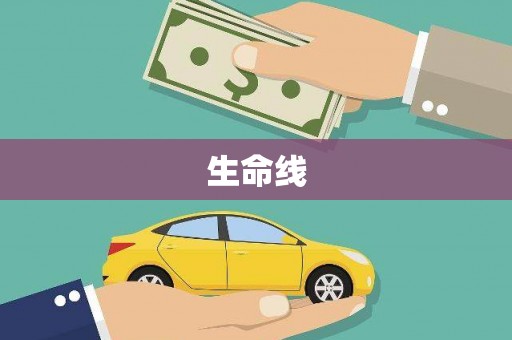 青白江生命线