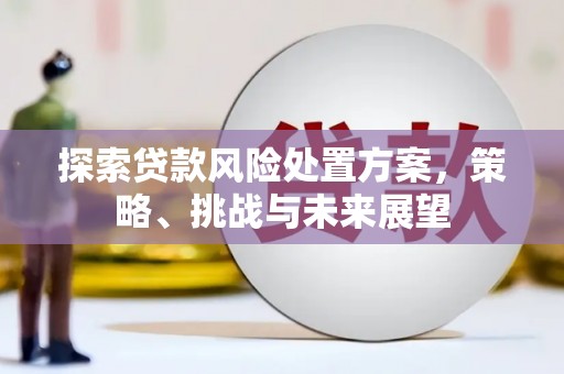 青白江探索贷款风险处置方案，策略、挑战与未来展望