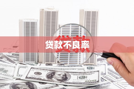 青白江贷款不良率
