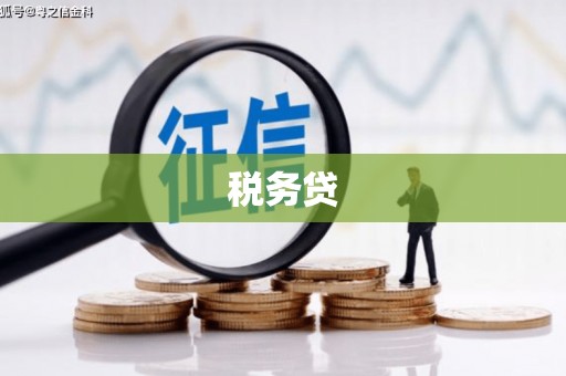 青白江税务贷