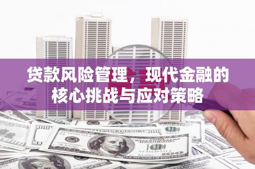 青白江贷款风险管理，现代金融的核心挑战与应对策略
