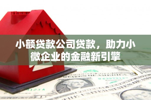 青白江小额贷款公司贷款，助力小微企业的金融新引擎