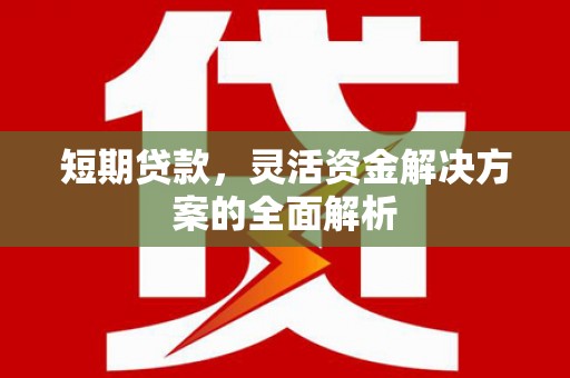 青白江短期贷款，灵活资金解决方案的全面解析