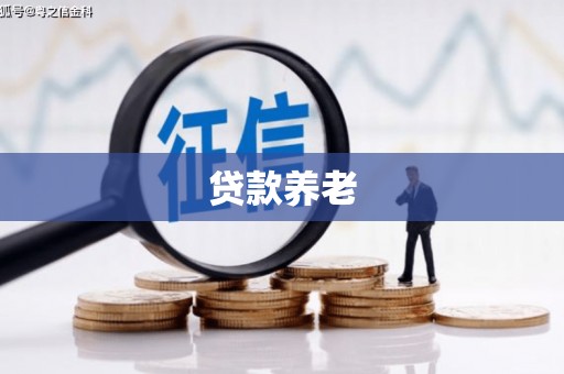 青白江贷款养老