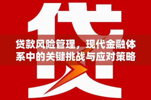 青白江贷款风险管理，现代金融体系中的关键挑战与应对策略