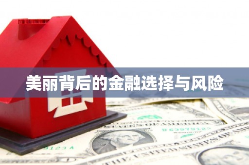青白江美丽背后的金融选择与风险