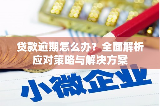 青白江贷款逾期怎么办？全面解析应对策略与解决方案