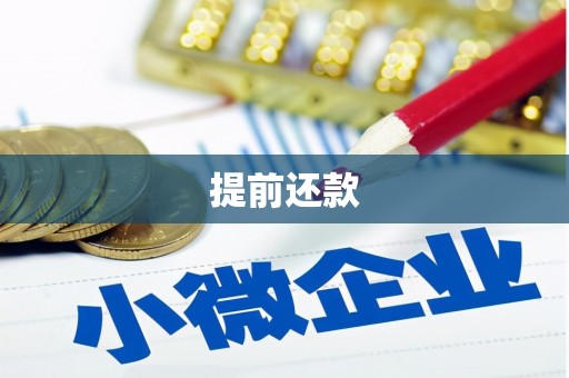 青白江提前还款