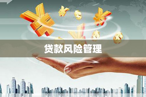 青白江贷款风险管理