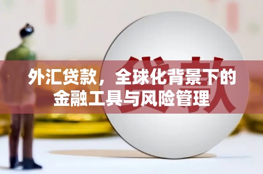 青白江外汇贷款，全球化背景下的金融工具与风险管理